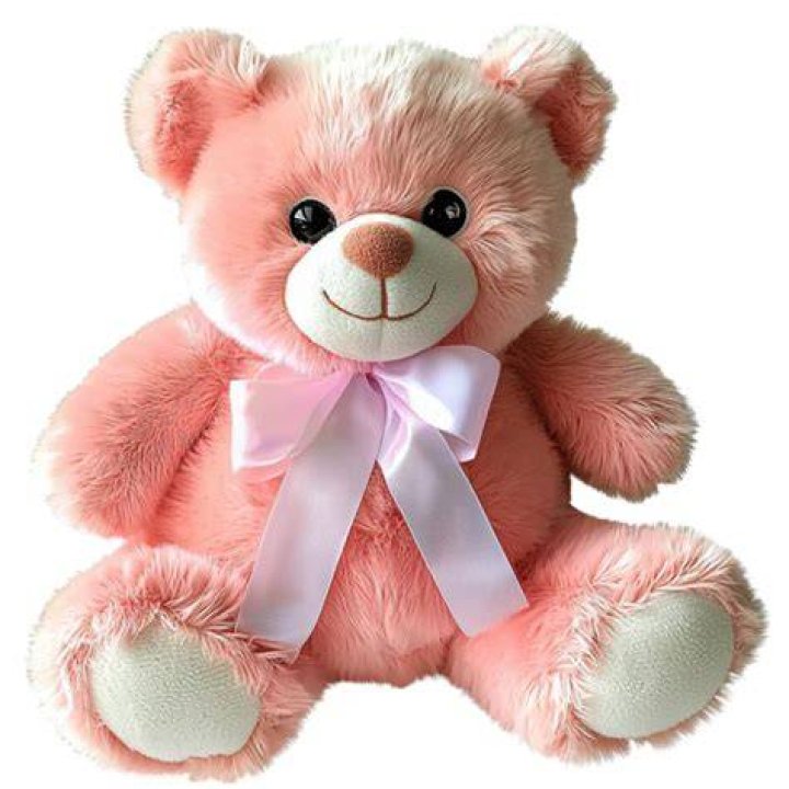Maidi Bear: The Iconic Symbol of Comfort and Childhood Nostalgia