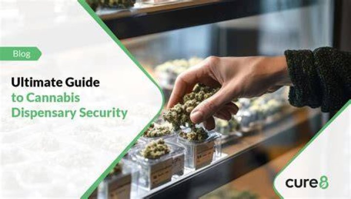 Safe Cannabis Dispensary Laughlin, NV: Your Ultimate Guide