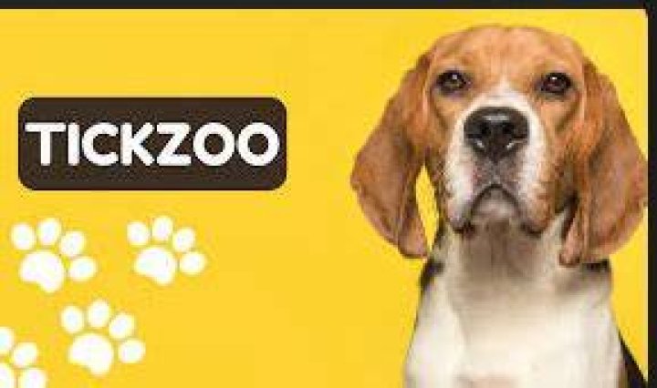 TickZoo: The Ultimate Travel Companion for Exploring the World